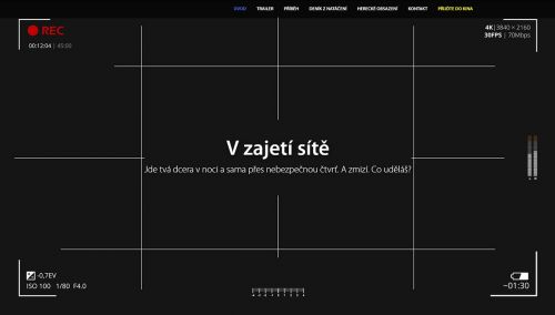 images/projects/webdesign/vzajetisite.jpg